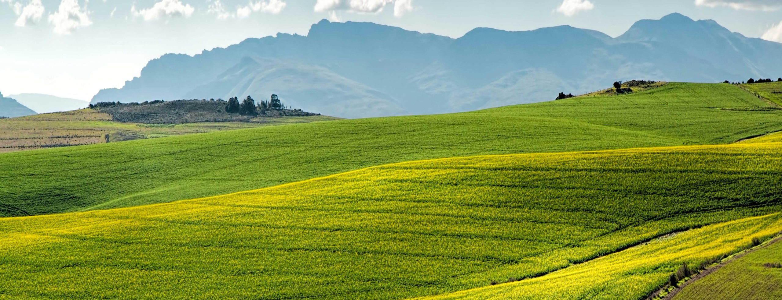 Windows 365 and Enrolment Restrictions in Intune